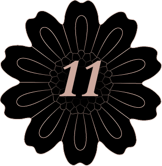 11