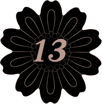 13