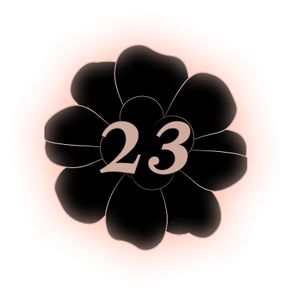 23