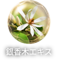 銀香木エキス