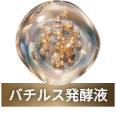 バチルス発酵液