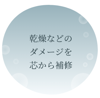 乾燥などのダメージを芯から補修