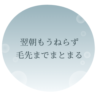 翌朝もうねらず毛先までまとまる