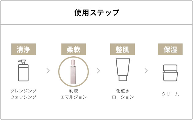 使用ステップ