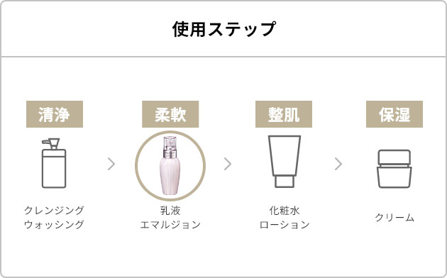 使用ステップ