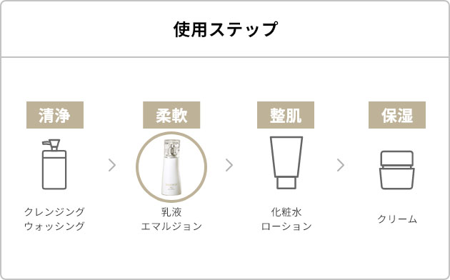 使用ステップ