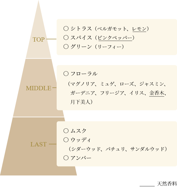 AQ オーラ リフレクター コンセプト | DECORTÉ（コスメデコルテ