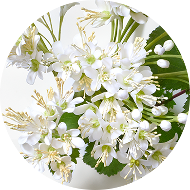 マルセル ワンダーズコレクション 2025 2024 マルセル ワンダース