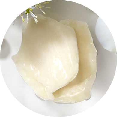 マルセル ワンダース コレクション 2025 | DECORTÉ（コスメデコルテ