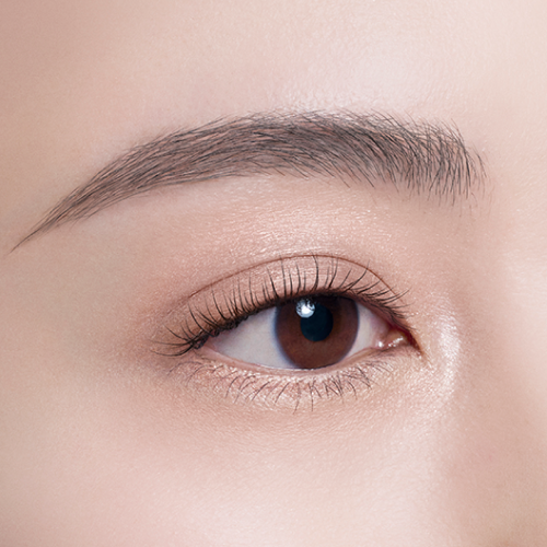 DECORTÉ Point Makeup 2026 | DECORTÉ（コスメデコルテ）公式