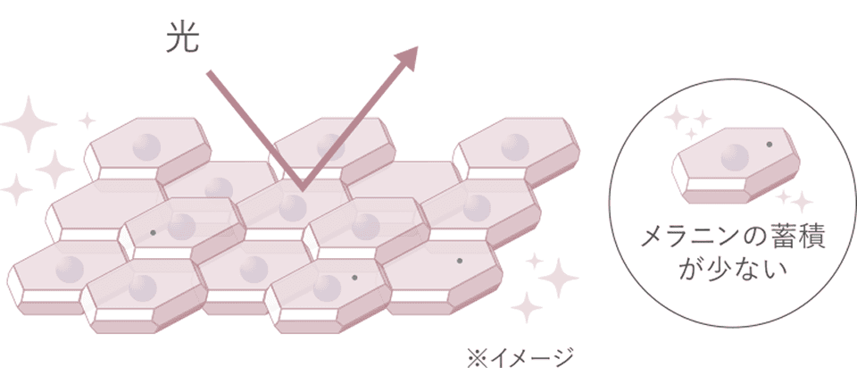 ライン一覧/HYDRA CLARITY 商品一覧 | DECORTÉ（コスメデコルテ）公式