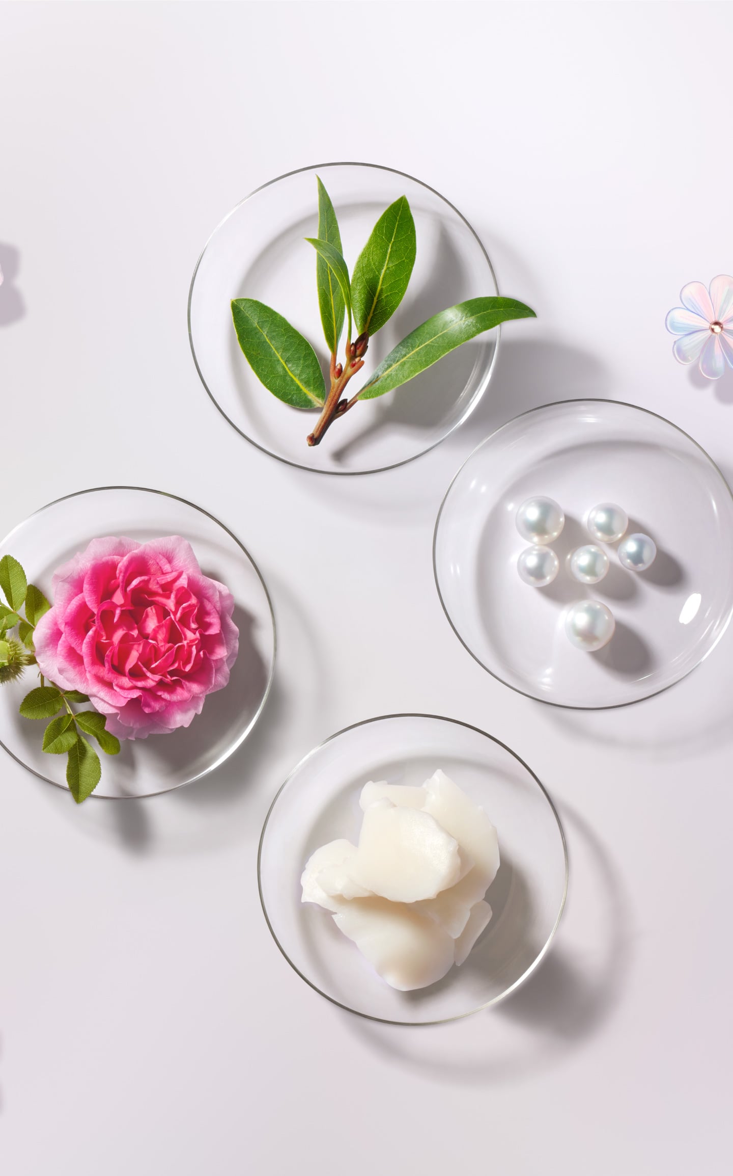 マルセルワンダースコレクション2024 | DECORTÉ（コスメデコルテ）公式