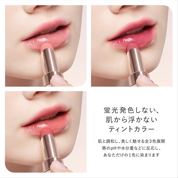 ルージュデコルテ　ティント ＆ プランプ