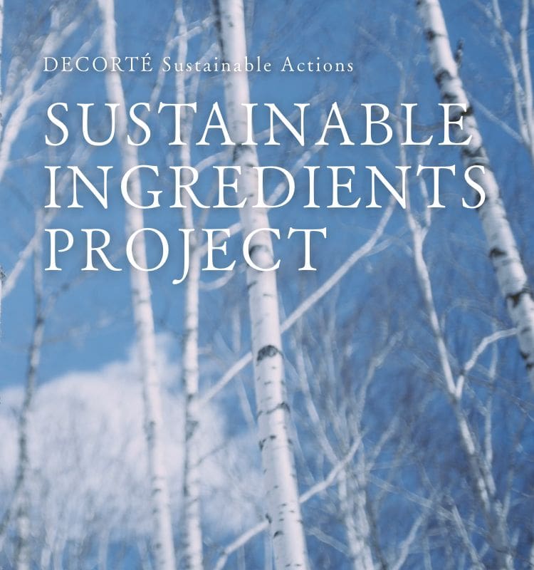 DECORTÉ 白樺の森プロジェクト』Sustainable Ingredients Project